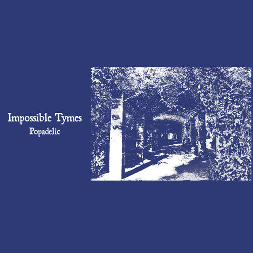 Impossible Tymes - Popadelic Vinyl Record