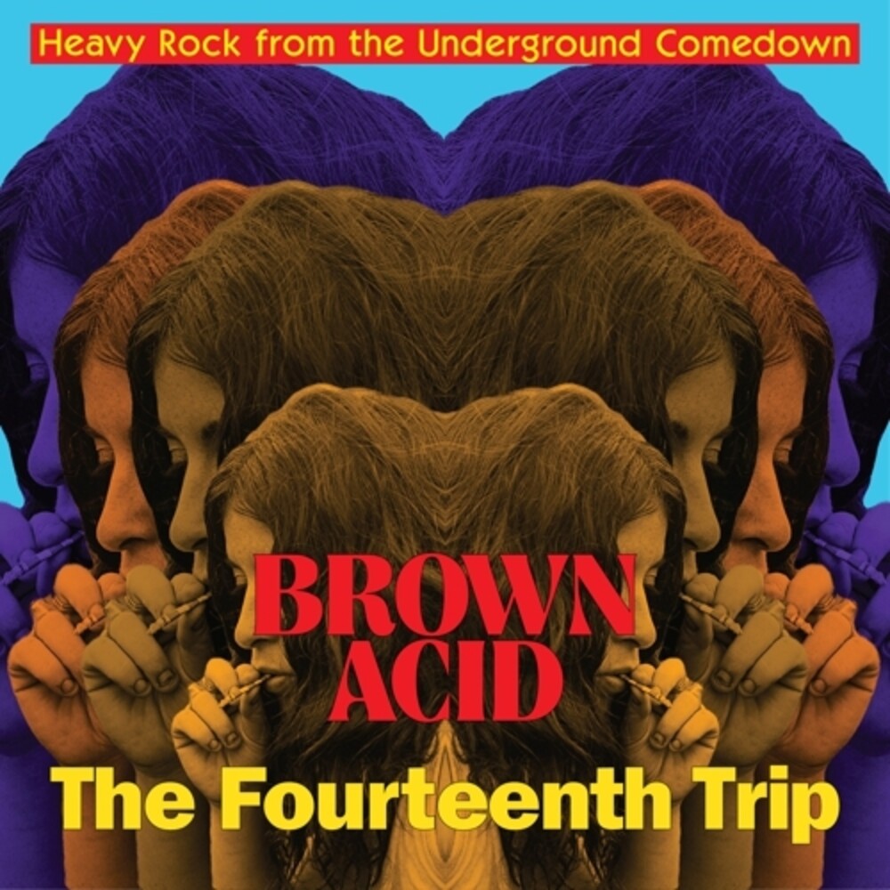 the album cover for Brown Acid - Fourteenth Trip / Various Artists - Brown Acid - Fourteenth Trip (Various Artists)