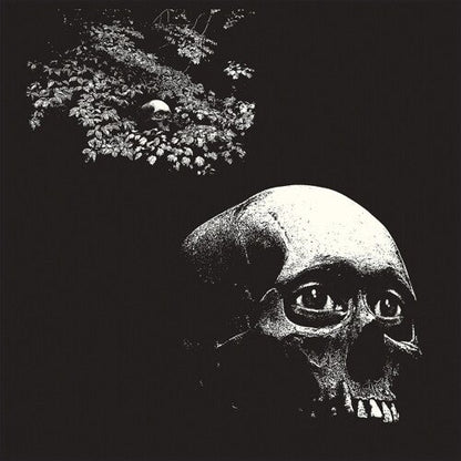Osees - Foul Form Vinyl Record