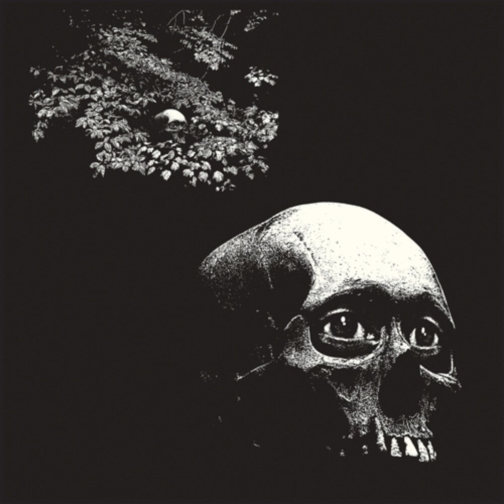 Osees - Foul Form [LP] Vinyl Record
