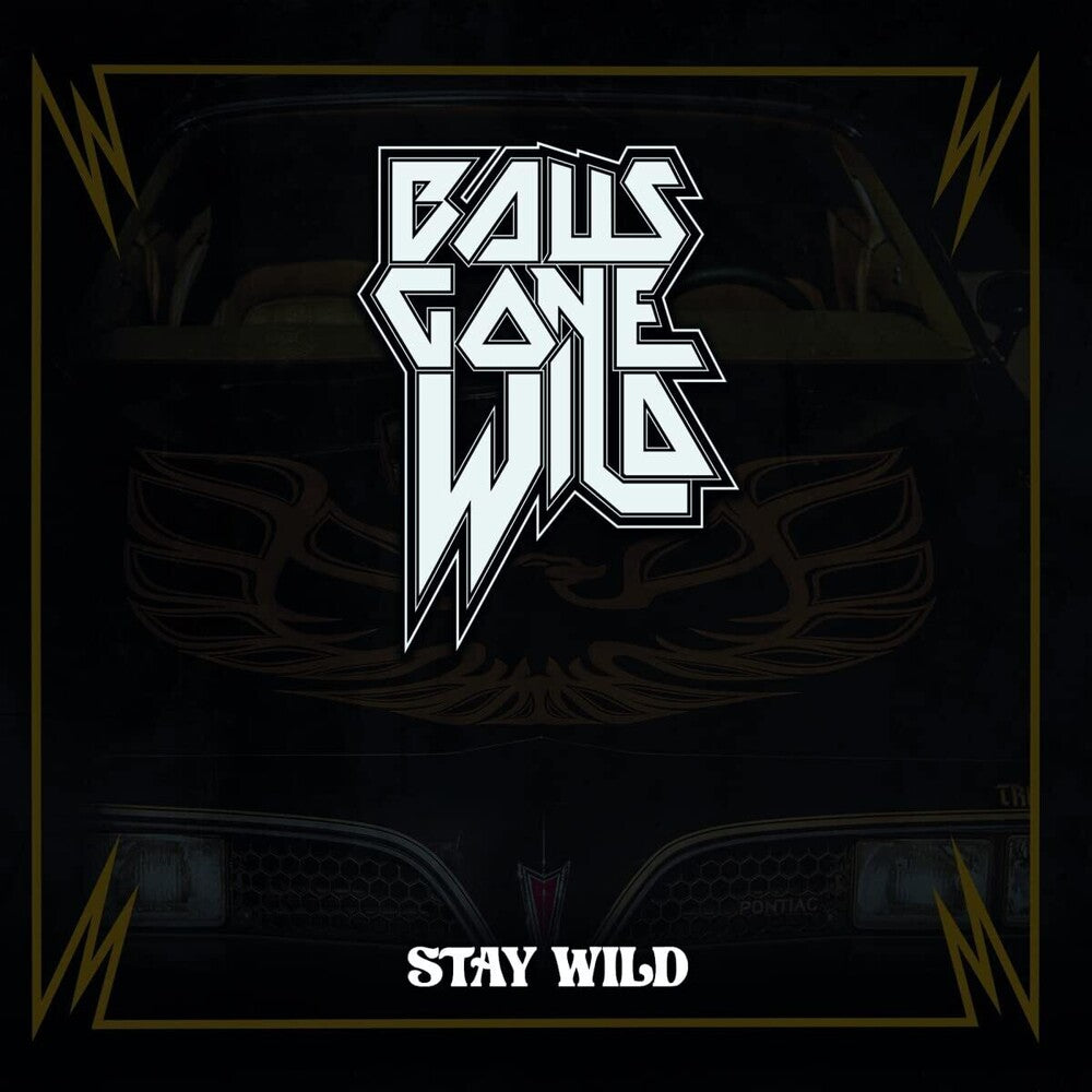 Stay Wild [LP] Vinyl Record