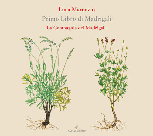 Marenzio / Compagnia Del Madrigale - Primo Libro Di Madrigali - Music CD