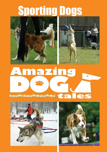 Amazing Dog Tales - Sporting Dogs - Amazing Dog Tales - Sporting Dogs - DVD