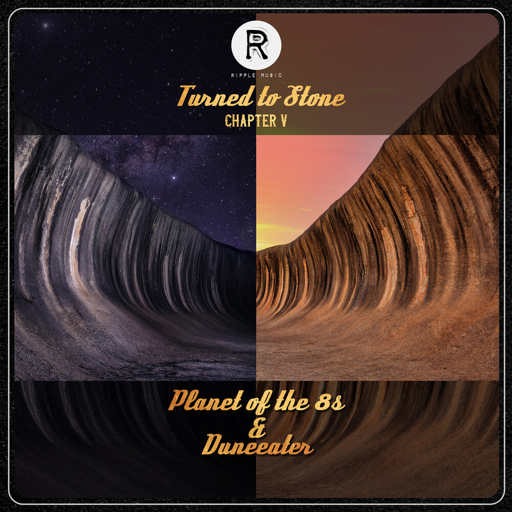 Turned To Stone Chapter 5 [LP] Vinyl Record
