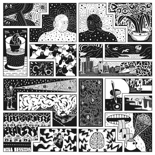 Will Sessions - Electromagnetic Reality Vinyl Record