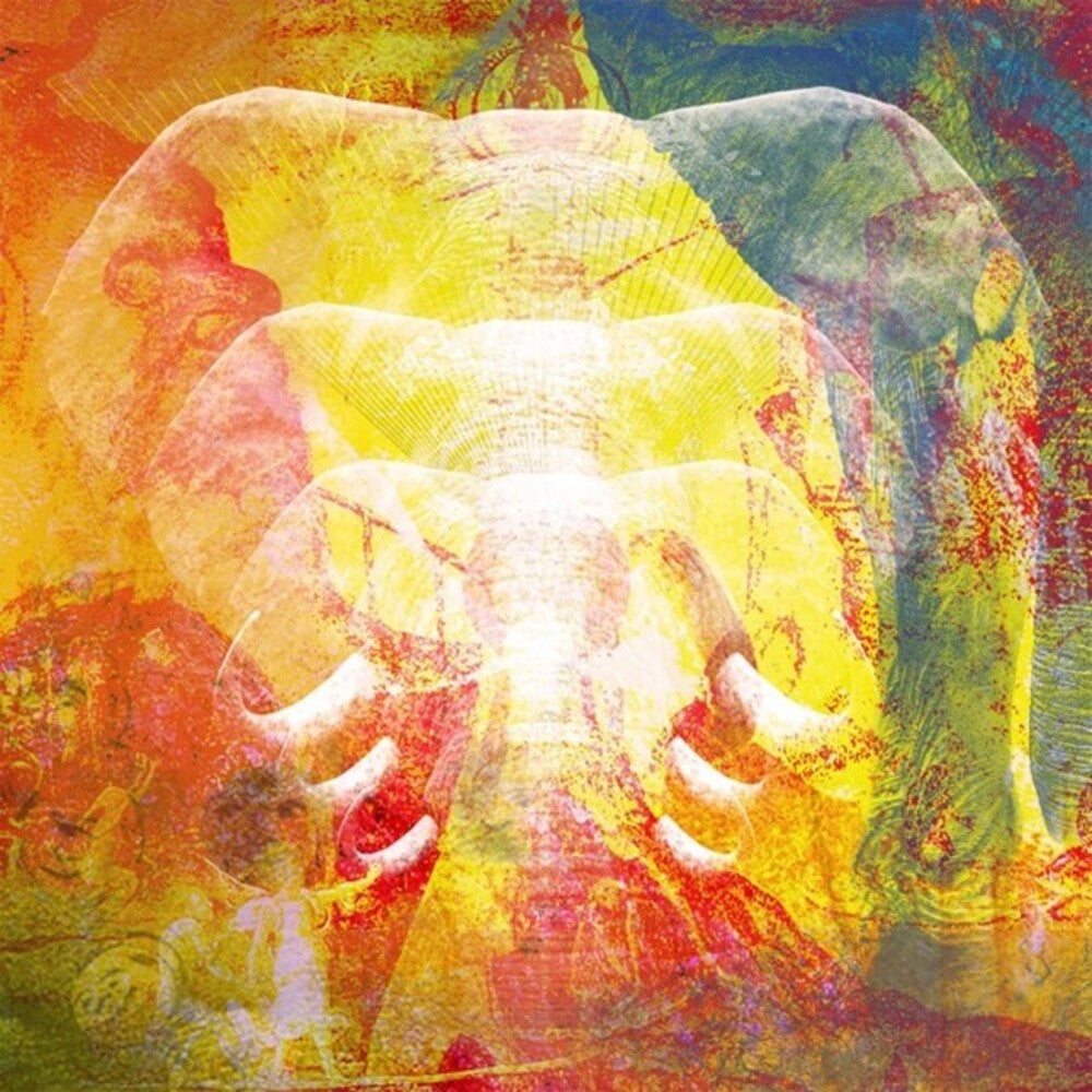 the album cover for Join The Din - Elephants In Autumn Rage (Uk)