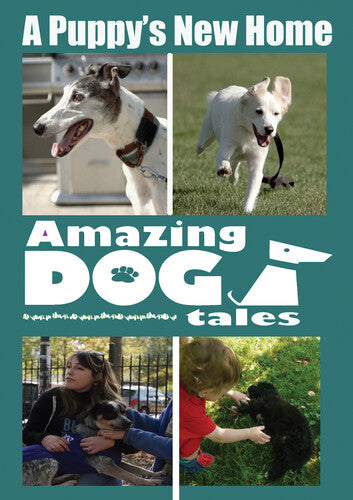 Amazing Dog Tales A Puppy's New Home - Amazing Dog Tales A Puppy's New Home - DVD