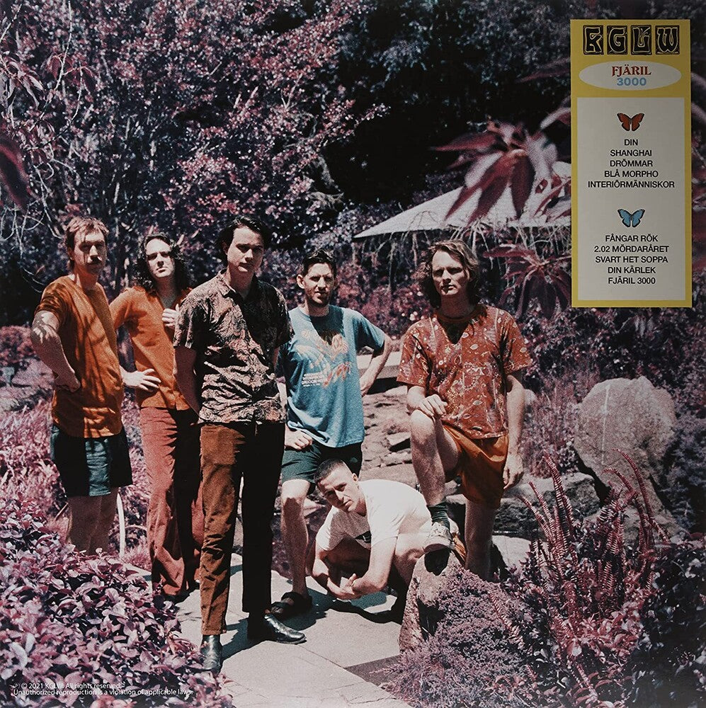King Gizzard & The Lizard Wizard - Butterfly 3000 [Indie Exclusive Limited Edition Swedish LP] Vinyl Record