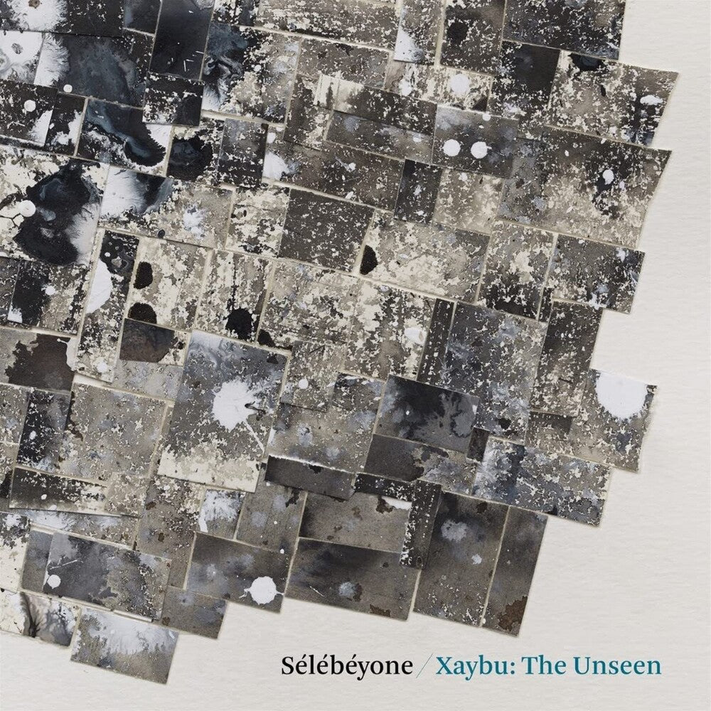 Steve Lehman - Xaybu: The Unseen [LP] Vinyl Record