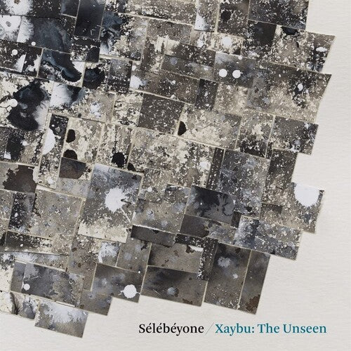 Steve Lehman - Xaybu: The Unseen Vinyl Record