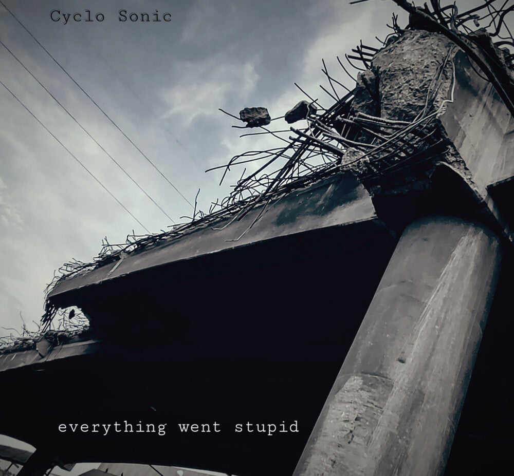 Everything Went Stupid [LP] Vinyl Record