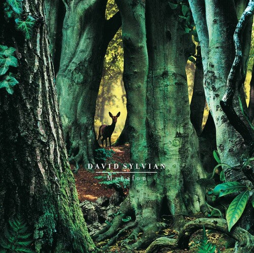 Sylvian,david - Manafon - Vinyl Record