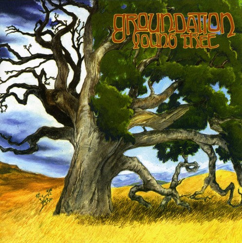 Groundation - Young Tree - Music CD