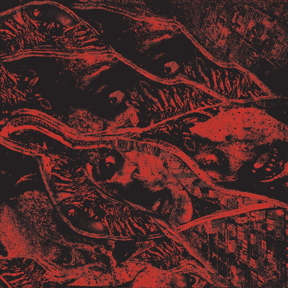 the album cover for Vermin Womb - Retaliation
