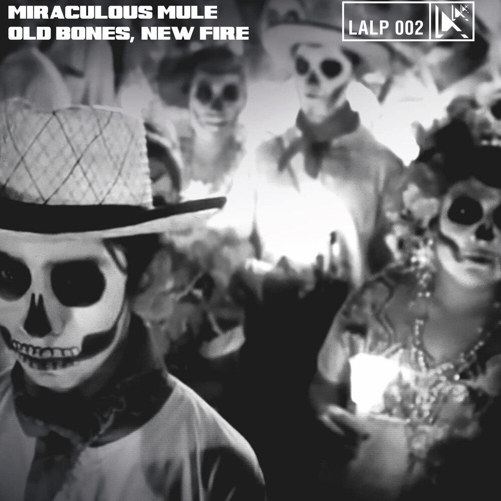 Old Bones New Fire [LP] Vinyl Record