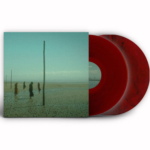 Devils Witches - In All Her Forms - Red/black Vinyl Record