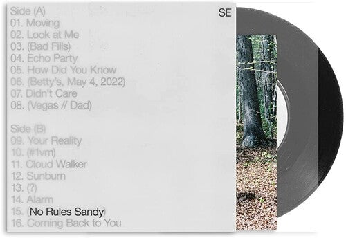 Sylvan Esso - No Rules Sandy - Vinyl Record