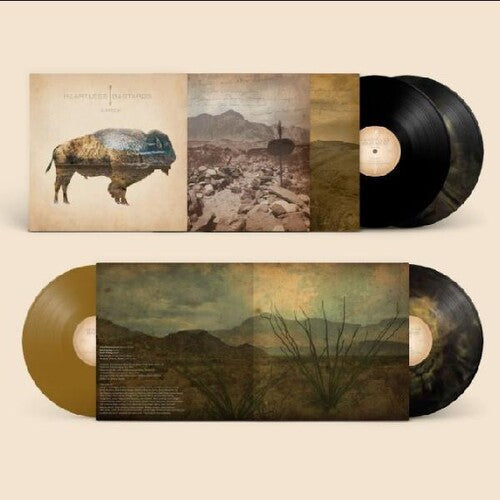 Heartless Bastards - Arrow Vinyl Record