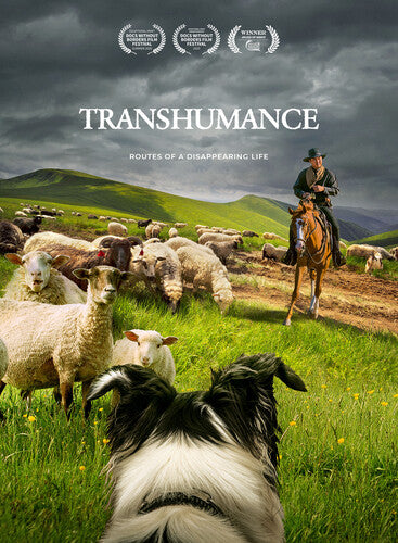 Transhumance: Routes To A Disappearing Life - Transhumance: Routes To A Disappearing Life - DVD