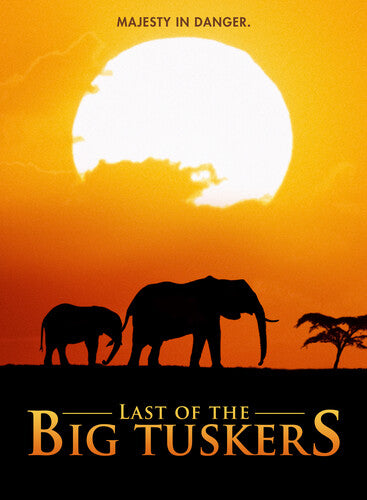 Last Of The Big Tuskers - Last Of The Big Tuskers - DVD