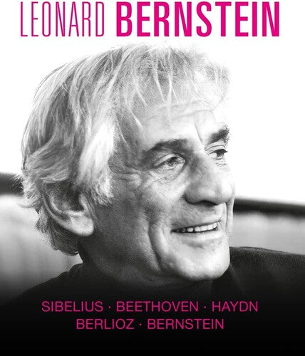 Beethoven / Horn - Leonard Bernstein Box 2 - Blu-ray