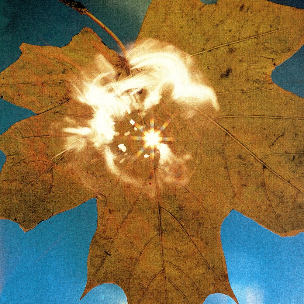 Force Of The Wind Music CD