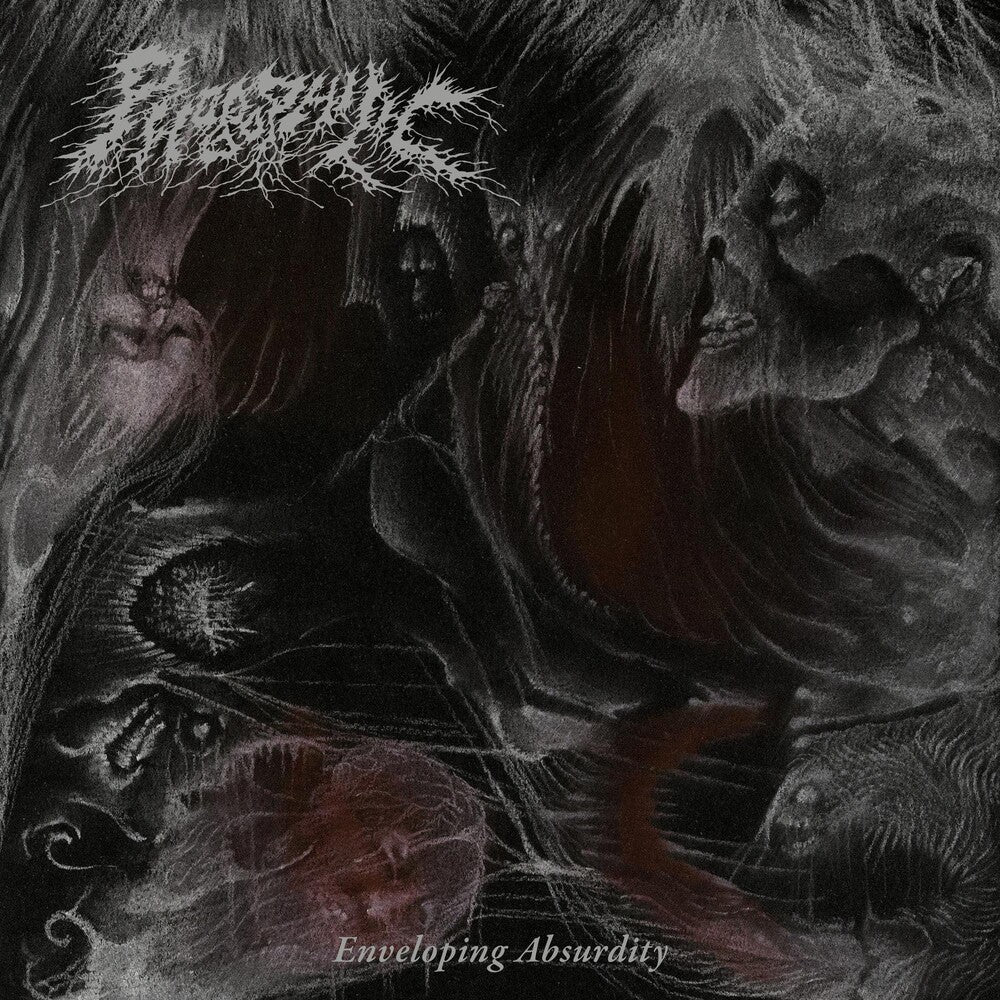Enveloping Absurdity Music CD