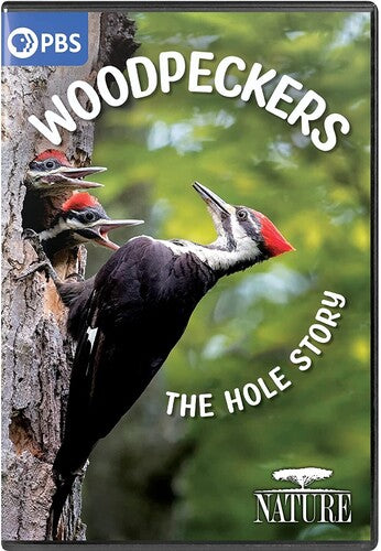 Nature: Woodpeckers - The Hole Story - Nature: Woodpeckers - The Hole Story - DVD