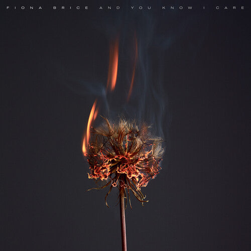 Fiona Brice - And You Know I Care Vinyl Record