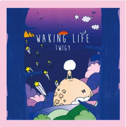Twigy - Waking Life Vinyl Record