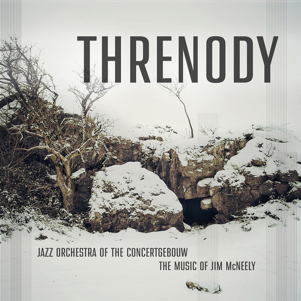the album cover for Mcneely / Jazz Orchestra Of The Concertgebouw - Threnody