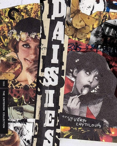 Criterion Collection - Daisies Bd - Blu-ray