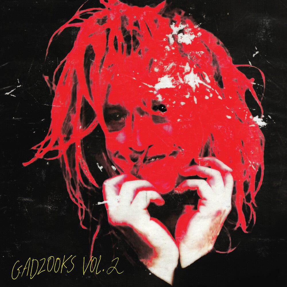 the album cover for Caleb Landry Jones - Gadzooks Vol. 2