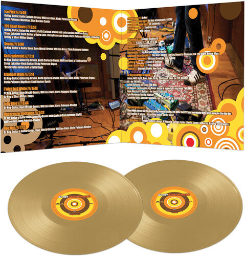 Oz Noy - Schizophrenic - Gold Vinyl Record