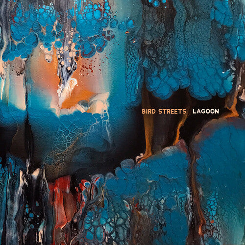 Bird Streets - Lagoon - Vinyl Record