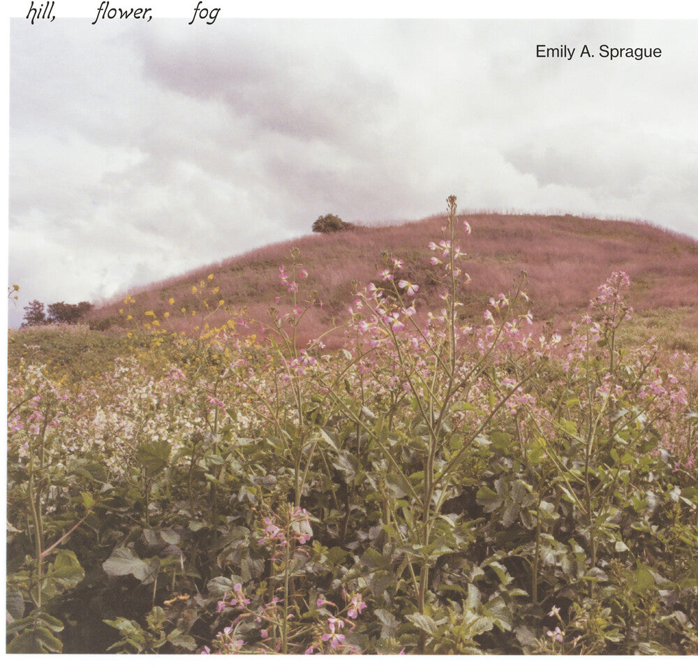 Hill, Flower, Fog - Foggy White [LP] Vinyl Record