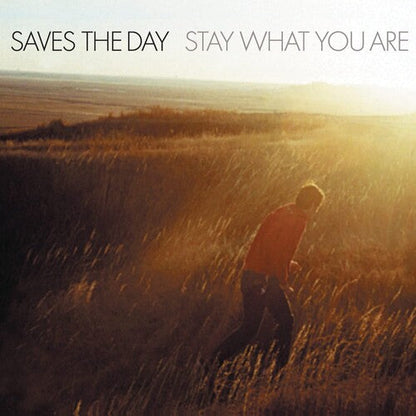 Saves the Day - Stay What You Are Vinyl Record