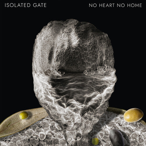 Isolated Gate - No Heart No Home - Vinyl Record