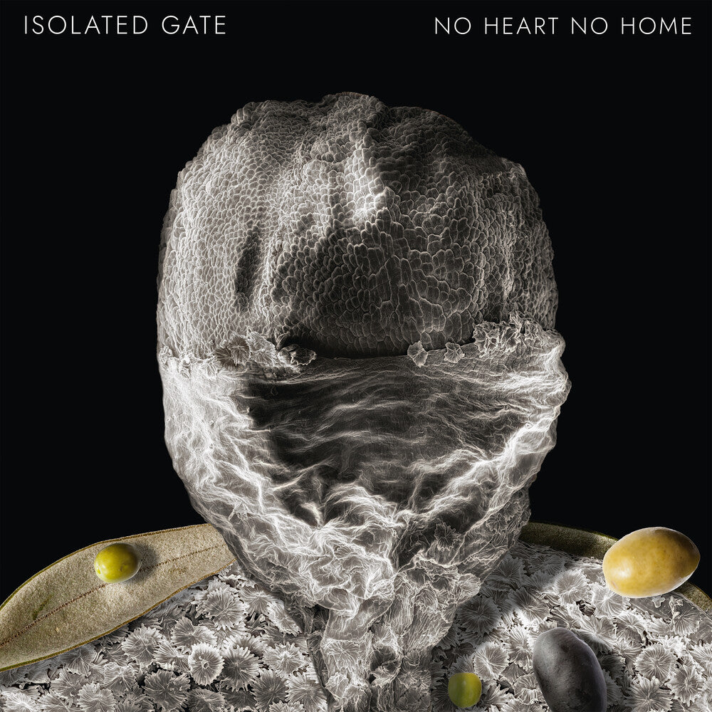 No Heart No Home (Ep) [Limited Edition] Vinyl Record
