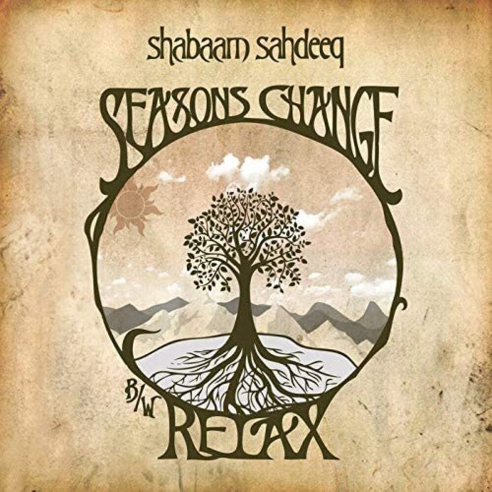 Seasons Change [12" Vinyl] Vinyl Record