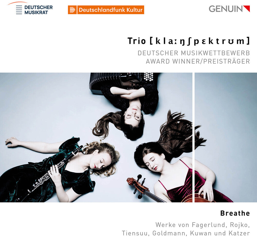 the album cover for Fagerlund / Goldmann / Katzer / Trio Klangspektrum - Breathe