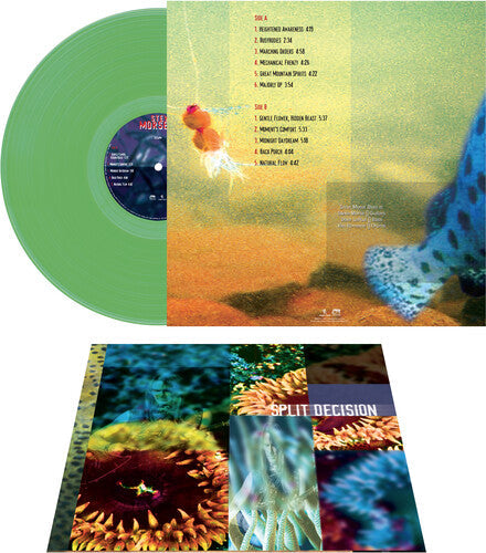 Steve Morse Band - Split Decision - Green Vinyl Record