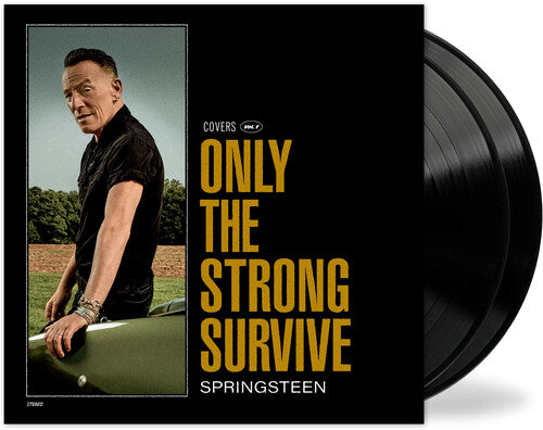 Springsteen,bruce - Only The Strong Survive - Vinyl Record