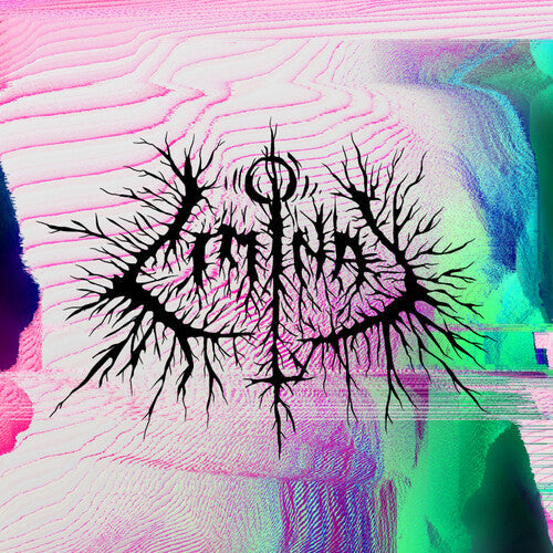 Petbrick - Liminal Vinyl Record