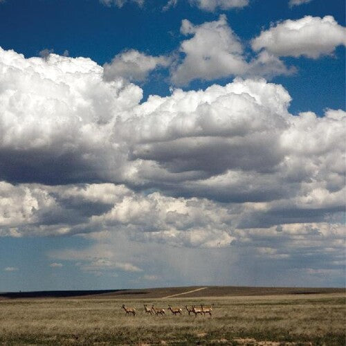 Fruit Bats - Tripper [White] Vinyl Record