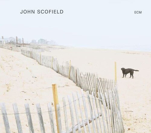 John Scofield - John Scofield Vinyl Record