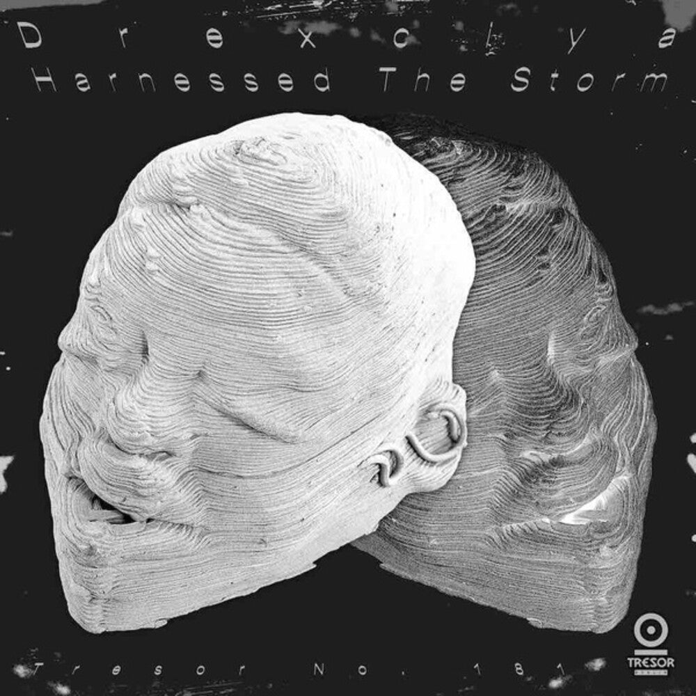 Drexciya - Harnessed The Storm [LP] Vinyl Record