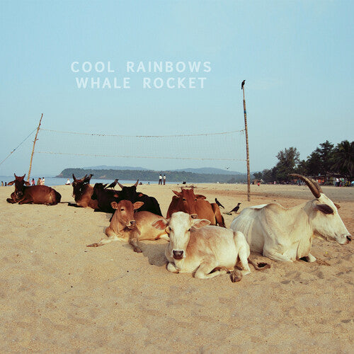 Cool Rainbows - Whale Rocket - Vinyl Record