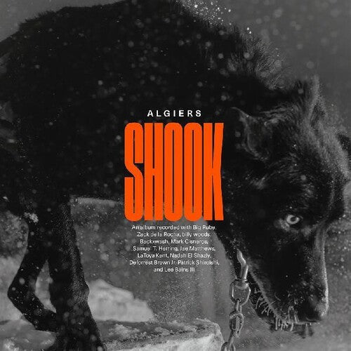 Algiers - Shook [2LP] Vinyl Record