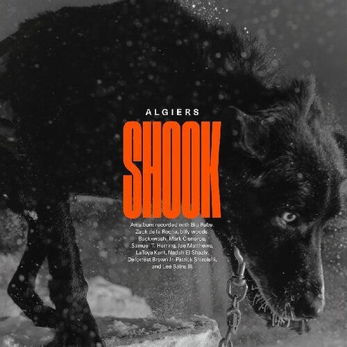 Algiers - Shook - Music CD